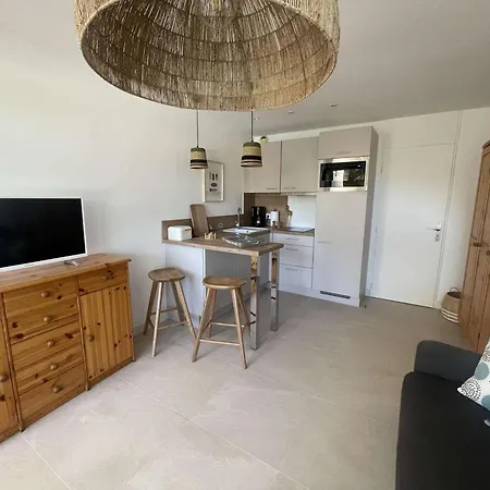 Avec Piscine, A 150m De La Plage, Quartier Anime, Parking Prive, 4 Pers, Animaux Non Admis - Fr-1-328-189 Apartmán *