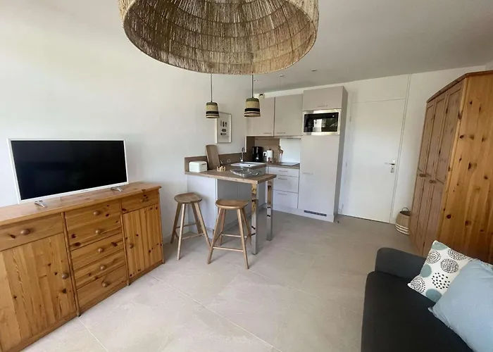 Avec Piscine, A 150m De La Plage, Quartier Anime, Parking Prive, 4 Pers, Animaux Non Admis - Fr-1-328-189 Lejlighed *